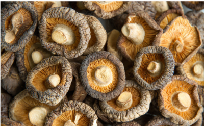 1600236610784813.png 3.png