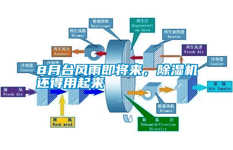 8月臺風(fēng)雨即將來，除濕機(jī)還得用起來
