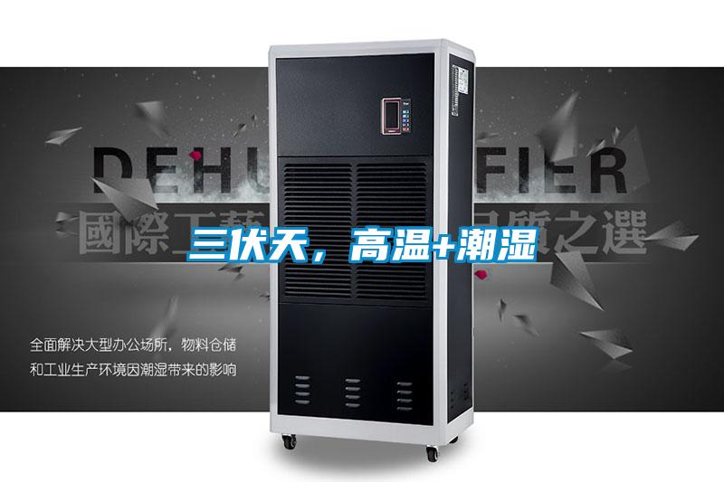 三伏天，高溫+潮濕