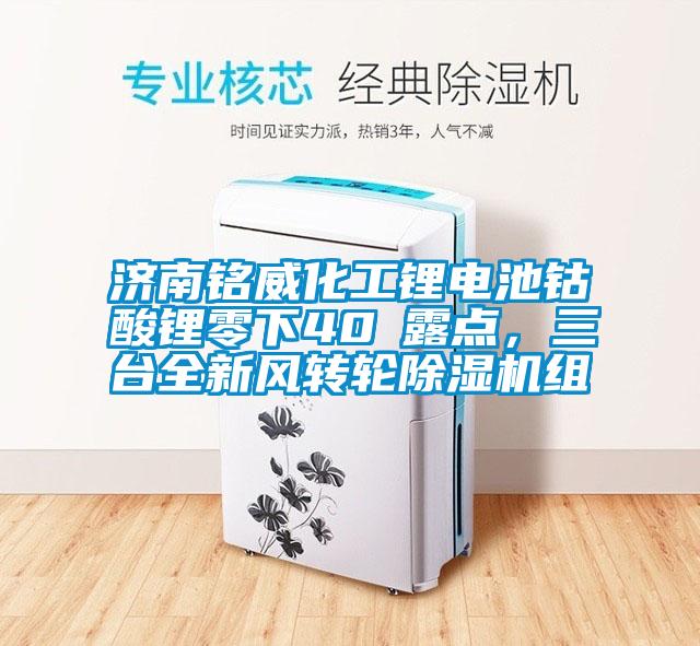 濟南銘威化工鋰電池鈷酸鋰零下40℃露點，三臺全新風轉(zhuǎn)輪除濕機組