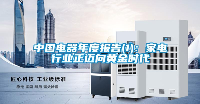 中國電器年度報(bào)告(1)：家電行業(yè)正邁向黃金時(shí)代