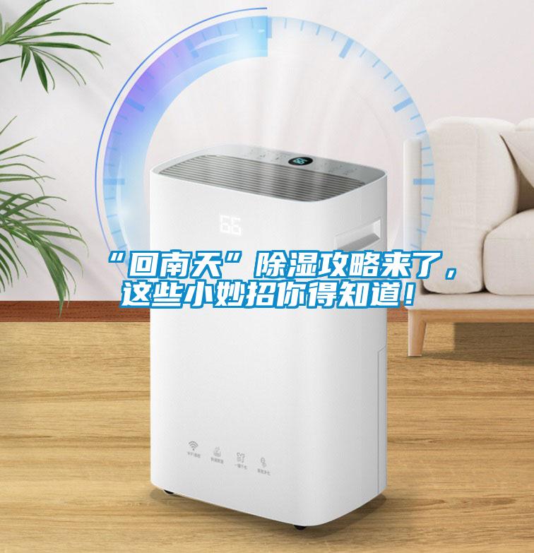 “回南天”除濕攻略來了，這些小妙招你得知道！