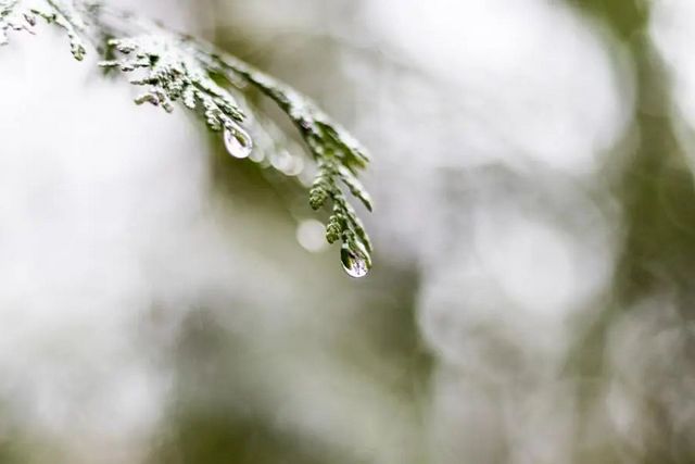 空氣濕度大帶來的危害有哪些，你知道嗎？