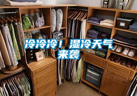 冷冷冷!濕冷天氣來襲