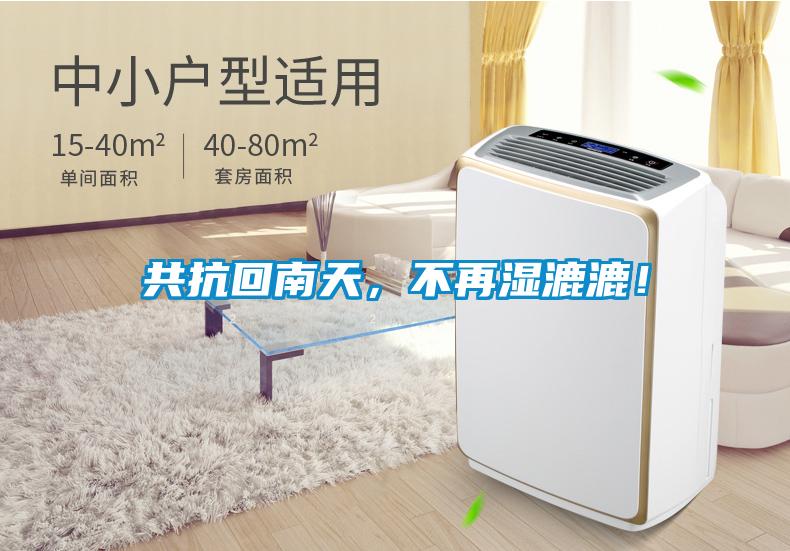 共抗回南天，不再濕漉漉！