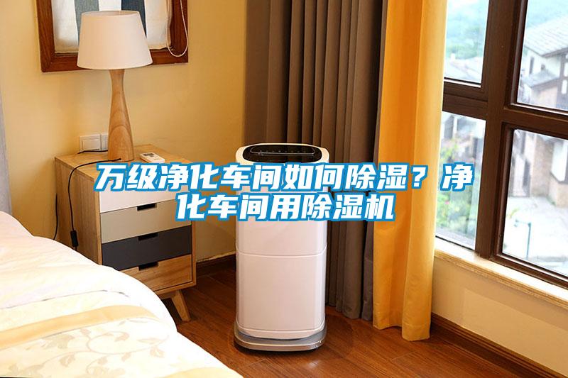 萬級(jí)凈化車間如何除濕？?jī)艋囬g用除濕機(jī)