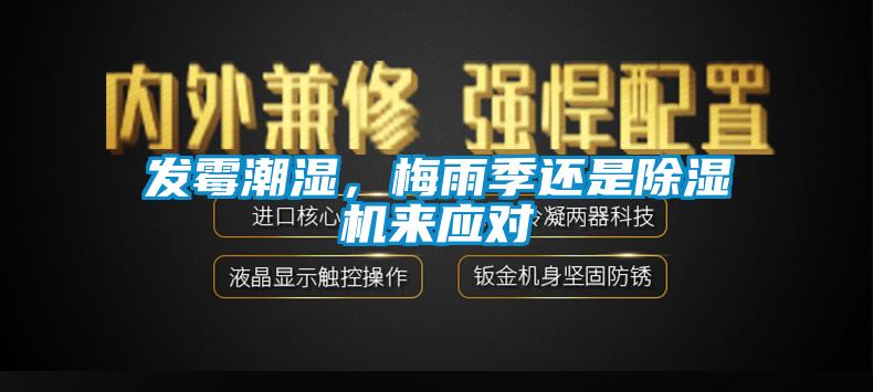 發(fā)霉潮濕，梅雨季還是除濕機來應(yīng)對