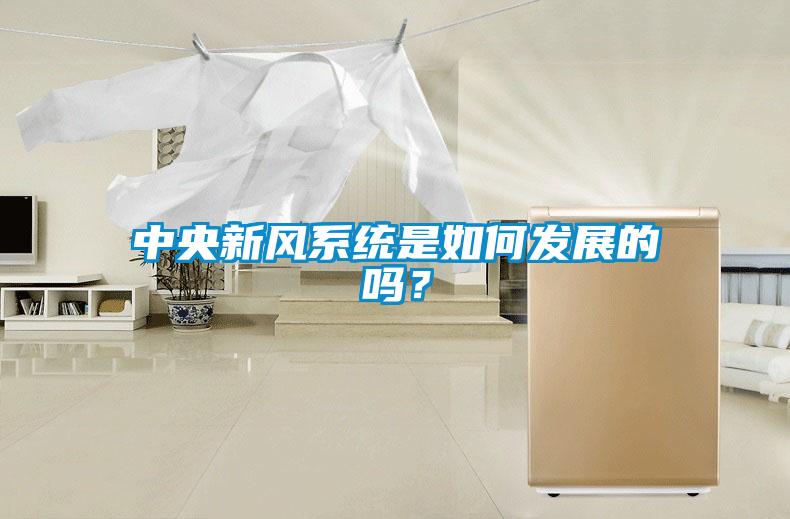 中央新風系統是如何發展的嗎？
