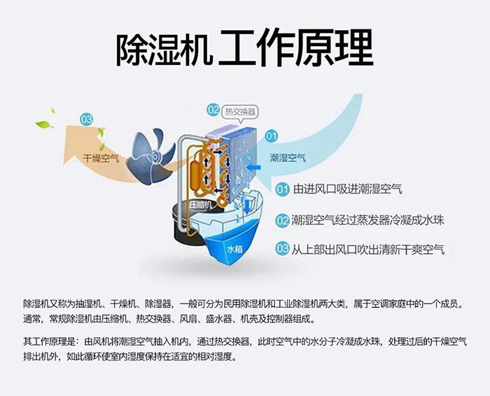 你們見過回南天電梯罷工嗎？