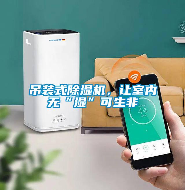 吊裝式除濕機，讓室內無“濕”可生非