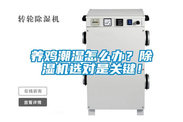 養雞潮濕怎么辦？除濕機選對是關鍵！