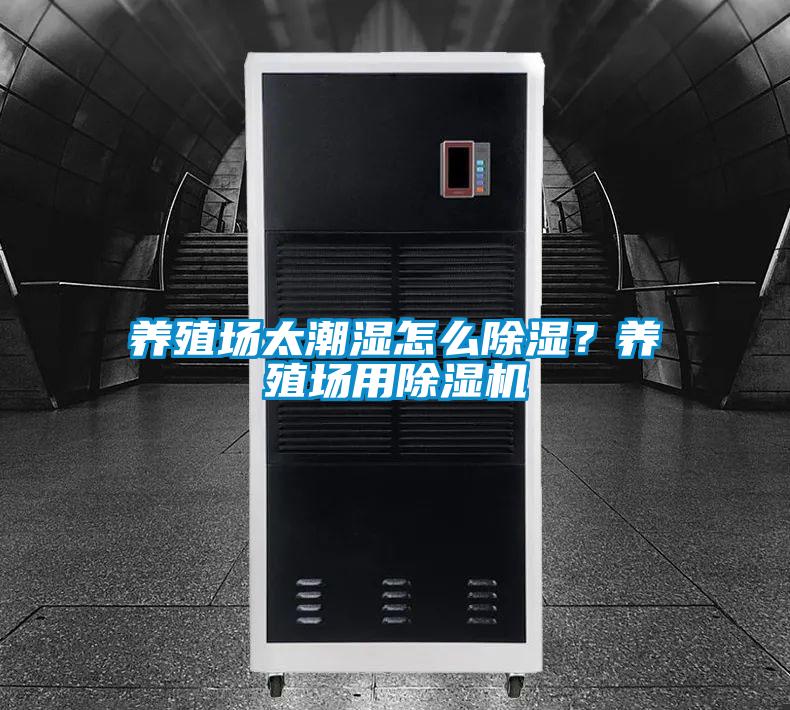 養殖場太潮濕怎么除濕？養殖場用除濕機