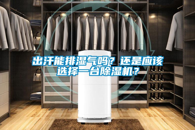 出汗能排濕氣嗎？還是應該選擇一臺除濕機？