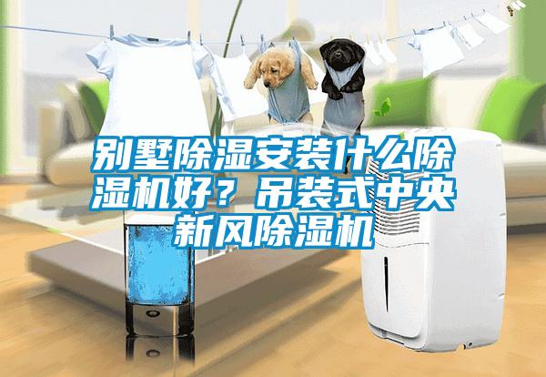 別墅除濕安裝什么除濕機好？吊裝式中央新風除濕機