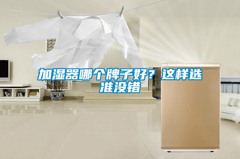 加濕器哪個牌子好？這樣選準沒錯