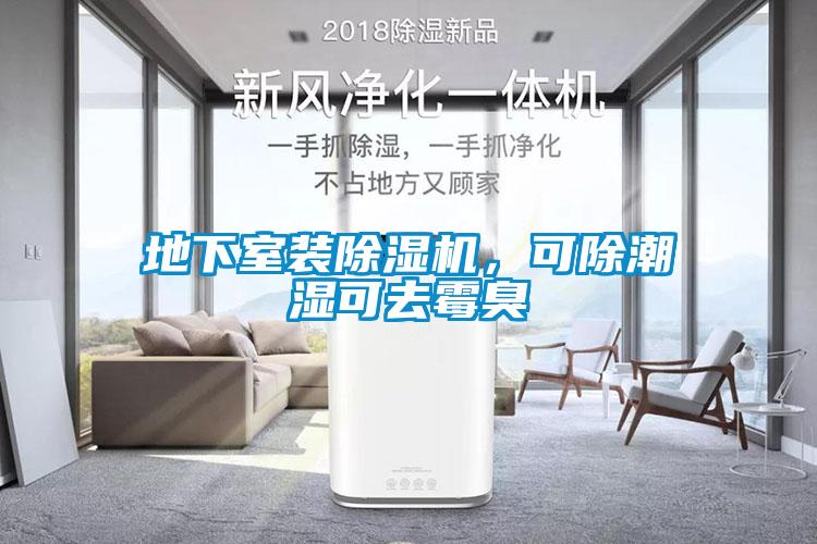 地下室裝除濕機，可除潮濕可去霉臭