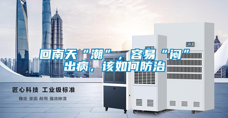 回南天“潮”，容易“悶”出病，該如何防治