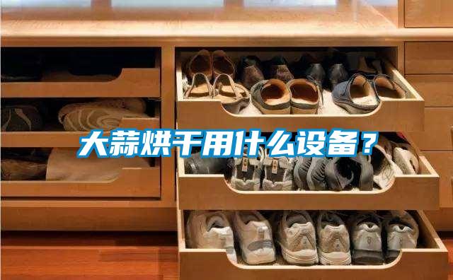大蒜烘干用什么設備？
