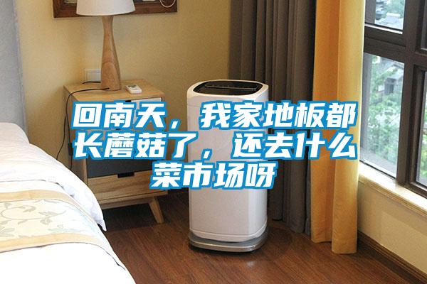 回南天，我家地板都長蘑菇了，還去什么菜市場呀