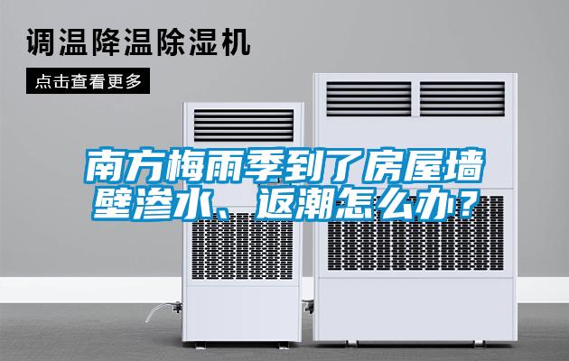 南方梅雨季到了房屋墻壁滲水、返潮怎么辦？