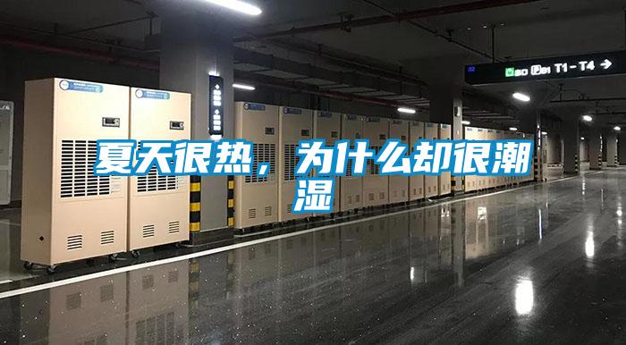 夏天很熱，為什么卻很潮濕