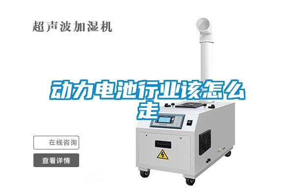 動力電池行業(yè)該怎么走