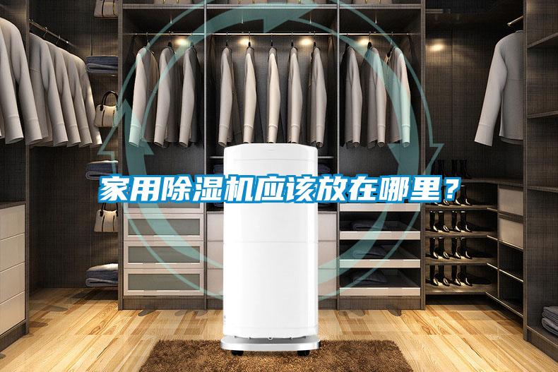 家用除濕機應該放在哪里？
