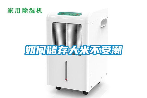 如何儲(chǔ)存大米不受潮