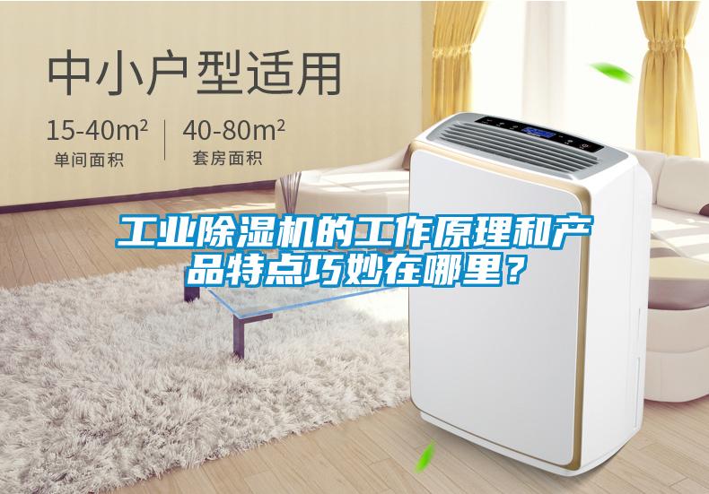 工業(yè)除濕機的工作原理和產(chǎn)品特點巧妙在哪里?