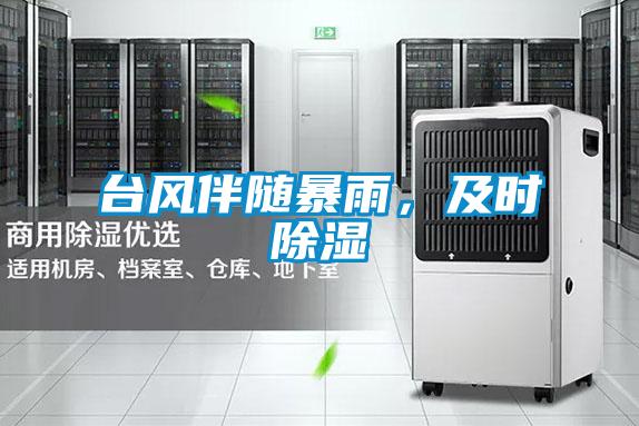 臺風伴隨暴雨,及時除濕