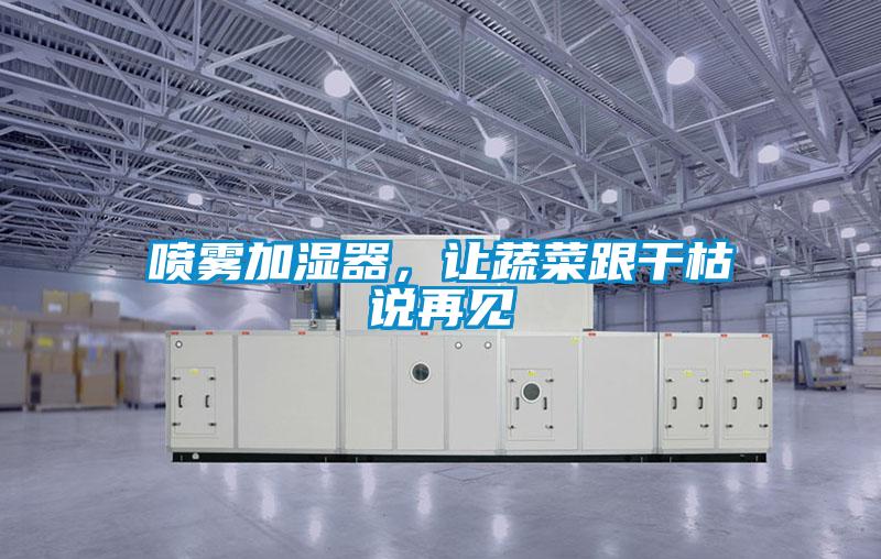 噴霧加濕器，讓蔬菜跟干枯說再見