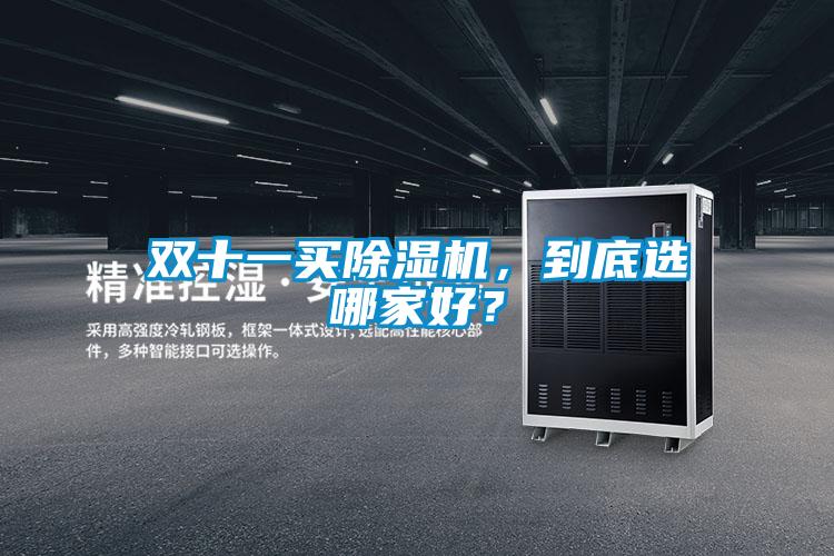 雙十一買除濕機，到底選哪家好？