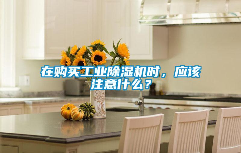 在購買工業(yè)除濕機(jī)時(shí)，應(yīng)該注意什么？