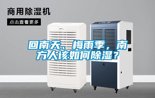 回南天、梅雨季，南方人該如何除濕？