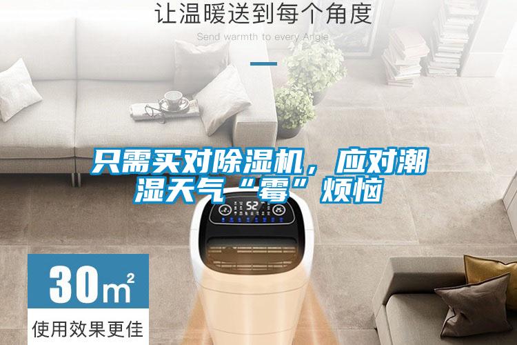 只需買對(duì)除濕機(jī),應(yīng)對(duì)潮濕天氣“霉”煩惱