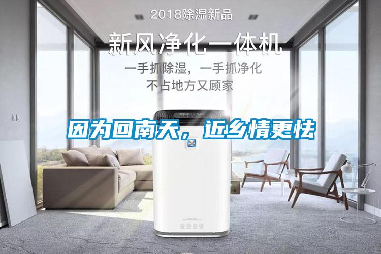 因?yàn)榛啬咸?，近鄉(xiāng)情更怯