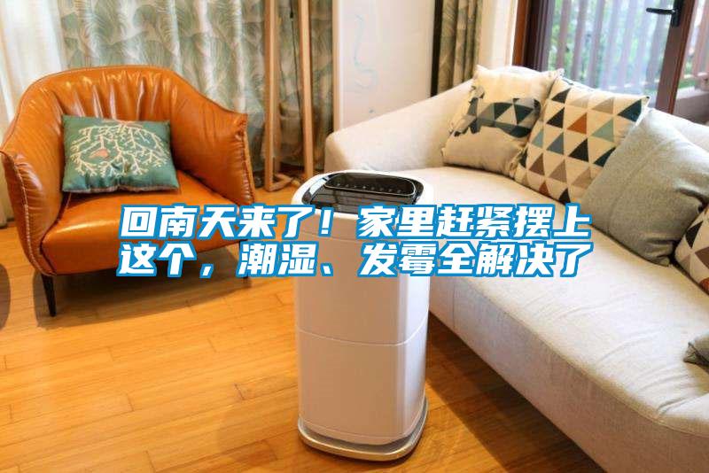 回南天來了!家里趕緊擺上這個(gè),潮濕、發(fā)霉全解決了