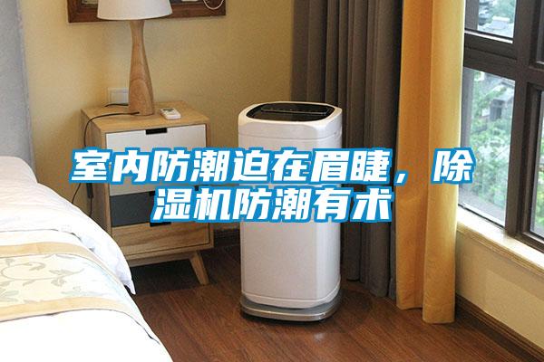 室內防潮迫在眉睫，除濕機防潮有術