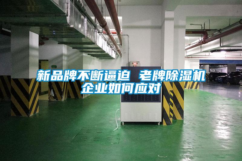 新品牌不斷逼迫 老牌除濕機企業(yè)如何應對