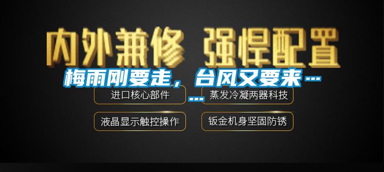 梅雨剛要走,臺風(fēng)又要來……