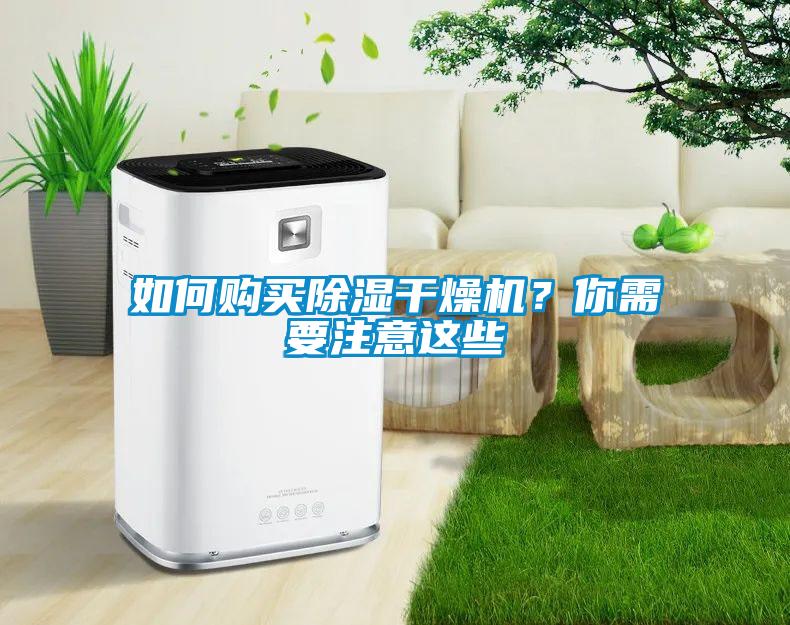 如何購(gòu)買(mǎi)除濕干燥機(jī)？你需要注意這些