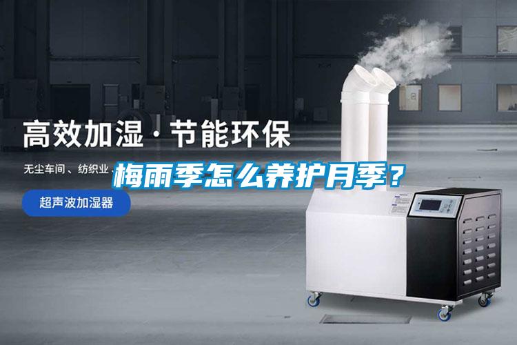 梅雨季怎么養(yǎng)護月季？