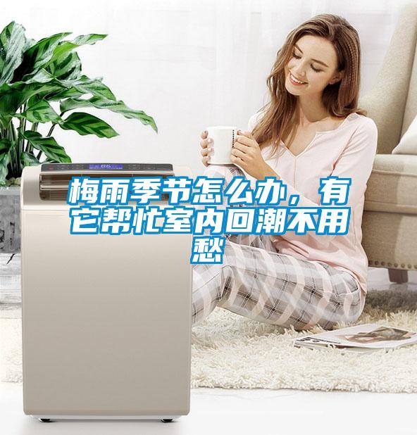 梅雨季節(jié)怎么辦，有它幫忙室內(nèi)回潮不用愁