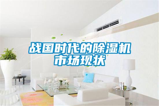 戰(zhàn)國(guó)時(shí)代的除濕機(jī)市場(chǎng)現(xiàn)狀