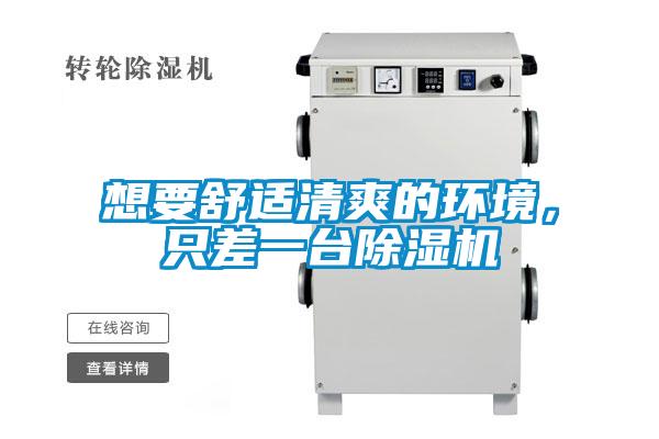 想要舒適清爽的環(huán)境,只差一臺除濕機