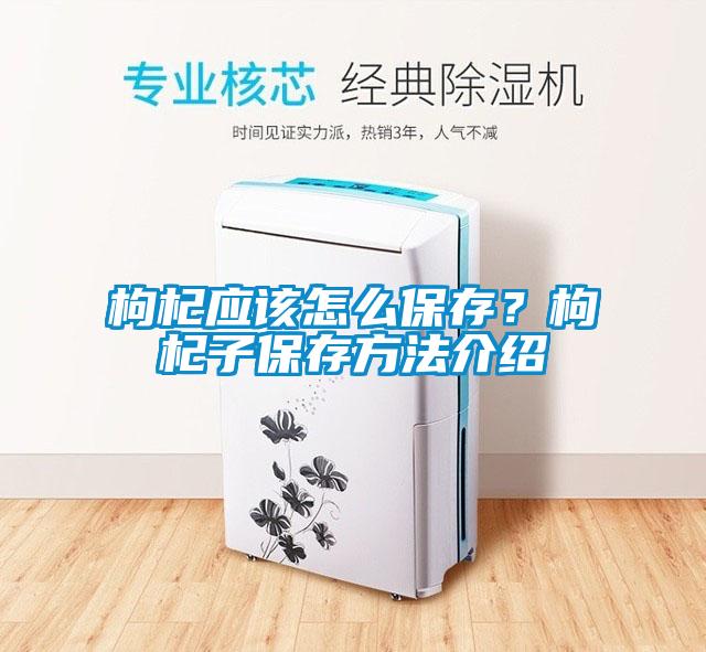 枸杞應(yīng)該怎么保存？枸杞子保存方法介紹