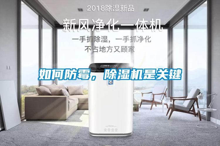 如何防霉，除濕機(jī)是關(guān)鍵