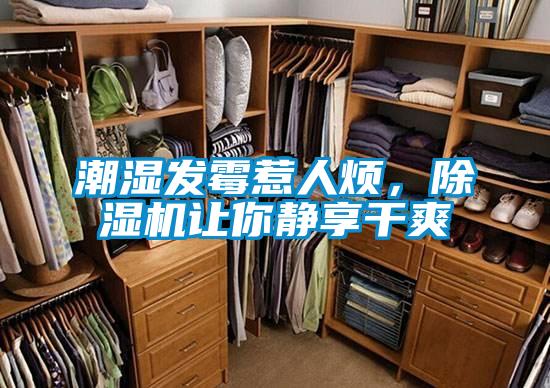 潮濕發霉惹人煩,除濕機讓你靜享干爽
