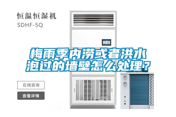 梅雨季內(nèi)澇或者洪水泡過(guò)的墻壁怎么處理？