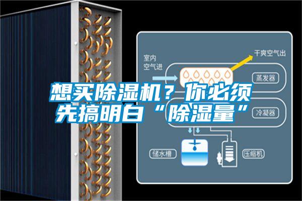 想買除濕機?你必須先搞明白“除濕量”